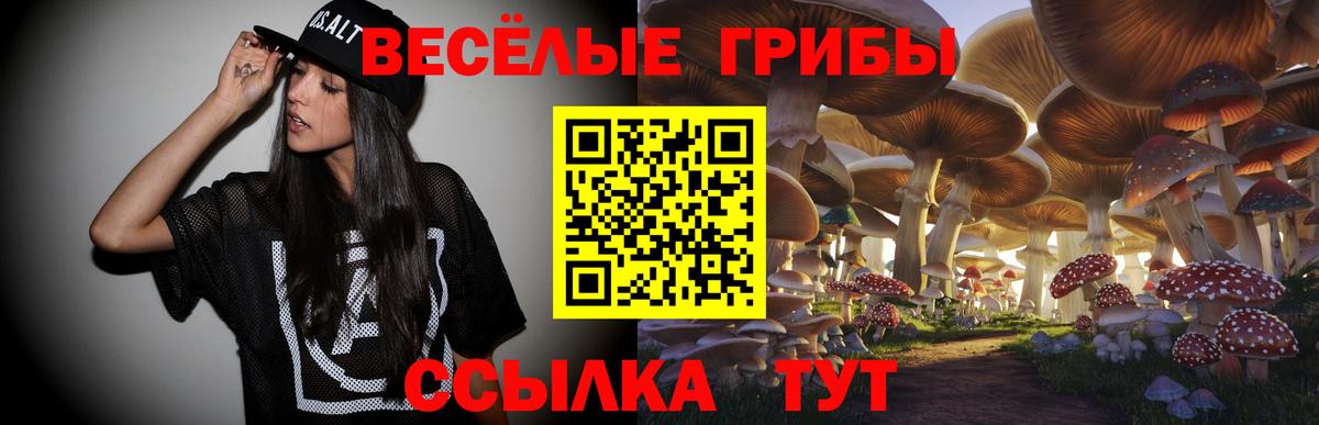 Псилоцибиновые грибы Cubensis Элиста